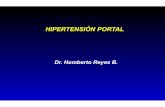 hipertensión portal y ascitis 2012semio-2012.wikispaces.com/file/view/hipertensión+portal+y...patogenia de la ascitis en la cirrosis. plexo nstroesofagico pediculo posterior- vena