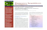 Tumores hepáticos benignos - AEEHaeeh.es/wp-content/uploads/2012/05/v8n1a517pdf001.pdf · un traumatismo. Pueden ser de origen epitelial o mesenquimal. La hiperplasia nodular focal