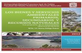 LOS BIENES Y SERVICIOS AMBIENTALES …comunidad.udistrital.edu.co/hzuniga/files/2012/09/los_bienes_y...RECURSOS NATURALES LOS BIENES Y SERVICIOS AMBIENTALES PRIMARIOS, SECUNDARIOS
