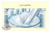 LA LECHE - Escuela de hostelería San Lorenzo · • Consumo de leche en el mundo. • Composición y elaboración. • Propiedades y aplicaciones. • Criterios de clasificación.