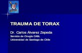 TRAUMA DE TORAX - … · USACH HBLT TRAUMA DE TORAX Introducción – Los traumatismos son la 3ª causa de muerte – En los menores de 40 años son la 1ra causa – El trauma de