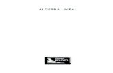 Álgebra Lineal - Grupo Editorial Patria · Prólogo Uno de los temas de matemáticas más populares del que se han escrito innumerables textos, es el álgebra lineal. Esto no es