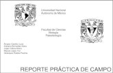 REPORTE PRÁCTICA DE CAMPO - icmyl.unam.mxpaleo/ReportePracticaCampoWeb.pdf · REPORTE PRÁCTICA DE CAMPO. Con este trabajo se pretende ilustrar el conocimiento adquirido durante
