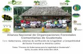 Alianza Nacional de Organizaciones Forestales Comunitarias de …flegt.info/wp-content/uploads/2013/02/Proceso-gobernan… ·  · 2014-10-15enlace y emprendimiento comunitario en