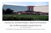 Factores ambientales determinantes - Sociedad Argentina … · Según la OMS, aproximadamente 25% de las ... • Químicos industriales: sulfitos, cloroplatino o pentoxido de vanadio