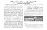 Rvta. Cangilón Nº 32.qxd 1/4/12 11:13 Página 13 INFLUENCIA DE LA LENGUA …cangilon.regmurcia.com/revista/N32/N32-03.pdf ·  · 2012-12-11He aquí el Tratado en la versión de