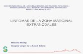 LINFOMAS DE LA ZONA MARGINAL - seap.es · Falini B et al. 2012 . LINFOMA MANTO ... Morfología, fenotipo, alteraciones citogenéticas, ... leucemias de células peludas.