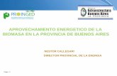 APROVECHAMIENTO ENERGETICO DE LA … 3 PROVINCIA DE BUENOS AIRES Infraestructura asociada al Sector Energético de enorme escala - 46 % de los usuarios residenciales de gas natural