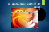 El urocultivo: cultivo de orina… · PPT file · Web view · 2016-08-17Ventajas de solicitar el urocultivo. Si después de la evaluación clínica, el médico no está seguro para