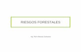 RIESGOS FORESTALES - PAGINA PERSONAL 2014 … · condiciones de caminos para realizar el madereo y ... Los trabajos forestales están ubicados generalmente alejadas de los hogares.