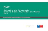 Estudio de Mercado Cuero Semi Curtido en Italia · Estudio de mercado / Cuero semi curtido en Italia/ 2017 Página 5 semielaborado refleja una gran actividad y valor, lo que conlleva