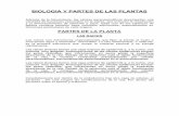 BIOLOGIA Y PARTES DE LAS PLANTAS - cfi …cfi-technology.com.ar/TRANSLOCACION.pdf · viaja a través del cuerpo vegetal en las células conductoras del xilema (vasos y traqueidas).