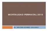 MORTALIDAD PERINATAL 2015 - Portal del Ministerio …€¦ · que fallecen antes de 7 días del parto. Muerte Perinatal y Neonatal ... Enfermedad hipertensiva Accidentes cerebro vasculares,