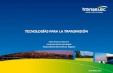 TECNOLOGÍAS PARA LA TRANSMISIÓN - cigre.cl · SVC Polpaico 9 SVC POLPAICO: 100/-65 MVAr • En servicio desde julio 2011 . ... • Transelec continúa explorando soluciones innovadoras