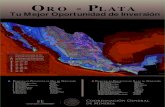 Oro - Plata - gob.mxeconomia.gob.mx/.../minero/targets_mineros_0713.pdf · 4 Grupo México Santa Bárbara 5 ... Los sistemas de pór˜do de cobre en México, incluyendo algunos depósi-tos