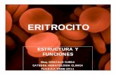 ERITROCITO - ecaths1.s3.amazonaws.comecaths1.s3.amazonaws.com/hematologiaclinicafacena... · Deficiente de G6PD + Azul de metileno ( control +) Tubo de ... parcial. METABOLISMO NUCLEOTIDICO