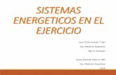 SISTEMAS ENERGETICOS EN EL EJERCICIO - …academia.utp.edu.co/...SISTEMAS-ENERGETICOS-EN-EL-EJERCICIO … · Las contracciones del músculo ... que tipo de sistema utilizar en función