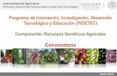 Presentación de PowerPoint - sagarpa.gob.mx 2014/CONVOCA… · Desarrollo Tecnológico y Educación (PIDETEC), de la Secretaría de Agricultura, Ganadería, Desarrollo Rural, Pesca
