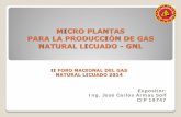 MICRO PLANTAS PARA LA PRODUCCIÓN DE GAS NATURAL …mecanica-cdl.org/eventos/Micro plantas para la produccion GNL.pdf · PARA LA PRODUCCIÓN DE GAS NATURAL LICUADO - GNL . Expositor: