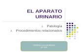 EL APARATO URINARIO - ceduc.cl · Insuf. Renal Crónica ... Inflamación aguda o crónica de la vejiga urinaria, con infección o sin ella.