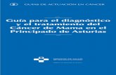 Guía para el diagnóstico y el tratamiento del Cáncer de ...movil.asturias.es/Astursalud/Ficheros/AS_SESPA/AS_Asistencia... · La preocupación por la atención al cáncer de mama