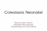 Colestasis Neonatal - Neo Puerto Monttneopuertomontt.com/ReunionesClinicas/Colestasia.pdf · Introducción • Ictericia es un hallazgo común durante las primeras 2 semanas de vida