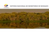 SISTEMA NACIONAL DE MONITOREO DE BOSQUESredd.mma.gov.br/images/gttredd/carlosponce_equador.pdf · Inventario Nacional Forestal Mapa de Biomasa y Carbono EVALUACIÓN NACIONAL FORESTAL