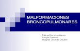 MALFORMACIONES BRONCOPULMONARES - ucm.es Pared toracica... · De las Arterias Pulmonares. De las Venas Pulmonares.