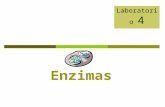 [PPT]Enzimas - Biología · Web viewLaboratorio 4 Enzimas Objetivos Definir qué es una enzima y cómo estas actúan en reacciones dentro de la célula. Identificar diferentes factores