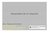 Anomalías de la rotación - Sociedad Argentina de Pediatría Neonatologia/Dia 3 Vie... · VMS AMS AMS VMS VCI AoVCI Normal Malrotación • Ecografía: obstrucción duodenal o vólvulo