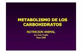 METABOLISMO DE LOS CARBOHIDRATOS - IHMC …cmapspublic3.ihmc.us/.../Metabolismocarbohidratos.pdf · • Hígado es el sitio central del metabolismo de los carbohidratos. Glucosa,