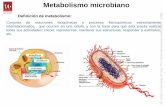 Metabolismo microbiano · Metabolismo microbiano Conjunto de reacciones bioquímicas y procesos ... Oxidación incompleta de la glucosa por glucólisis ... Fuentes de carbohidratos