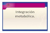 metabólica.mixacademico.alianzamedicamexicana.com/ciencias... · METABOLISMO Conjunto de transformaciones físicas, ... CARBOHIDRATOS. ... GLUCÓLISIS. CH3 – COOH ...