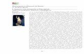 Textos para la Historia de Roma V. El Principado I ... · La Historia no oficial Suetonio, Augusto II 26