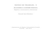 NOTAS DE TRABAJO, 3 ÁLGEBRA CONMUTATIVA - ugr.esanillos/textos/pdf/2016/1110-AC-Elemental.Texto.pdf · NOTAS DE TRABAJO, 3 ÁLGEBRA CONMUTATIVA Álgebra conmutativa elemental Pascual