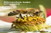 Alimentos bajo amenazaarchivo-es.greenpeace.org/espana/Global/espana/2014...2 Alimentos bajo amenaza Testimonios sobre la importancia de las abejas Introducción En los últimos años