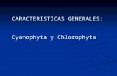 Diapositiva 1 - CIENCIAS BIOLÓGICAS Y C. EN …€¦ · PPT file · Web view · 2011-11-03Cyanophyta y Chlorophyta En función de la movilidad de los gametos se habla de planogamia,