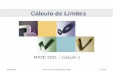 Cálculo de Límitesmyfaculty.metro.inter.edu/jahumada/mate3031/unidad1/1_3 Calculo de... · 31 Actividades 1.3 Referencia del Texto • Sección 1.3 Cálculo analítico de Límites,
