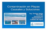 Contaminación en Playas Causales y Solucionesanmco.org/Enrique Mejia Maravilla.pdf ·  · 2006-11-14calidad ambiental de las playas nacionales y elevar los niveles de competitividad