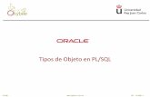 Tipos de Objeto en PL/SQLBD-2010-2011]PLSQL.ObjectTypes.pdf · PL/SQL BD - PL/SQL-3 Introducción Una BDOR soporta las dos tecnologías: relacional y objeto-relacional Aportaciones