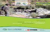 demaNda hídrica actual y futura en la mOlleBamBa - aPurímac.paccperu.org.pe/publicaciones/img/99.pdf · 3.2.2 Aspectos culturales ... En contraste, la demanda de agua se mantiene