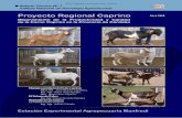 Proyecto Regional Caprino - produccion-animal.com.ar · Proyecto Regional CaprinoAbril 2005 Estación Experimental Agropecuaria Manfredi ... Para Parasitosis internas, análisis co-prológicos.