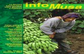 La Revista Internacional y Plátanos Revista Internacional sobre Bananos y Plátanos Focus sobre el congreso sobre Musa Cómo mejorar los bananos Suicidio celular y resistencia a las