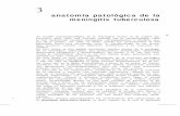 anatomía patológica de la meningitis tuberculosa l 8 7: Foco foliculoide, tomado con aumen-__~ to topogrsifico ; se observa necrosis cen-9 l Ira1 con infiltración de linfocitosy