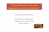 “Asma laboral y asma por exposición a polvo de harina”. · Presentación del Protocolo de Vgiilancia Específica de la Salud.Bilbao, 21 de Septimebre 2012. ... 45 H 55 LIMPIEZA