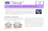 PULPA DENTAL - apoyo.usac.gtapoyo.usac.gt/Pulpa.pdf · PULPA DENTAL La pulpa es el tejido blando del diente. Se localiza en el centro de la cavidad que forman las estructuras mineralizadas