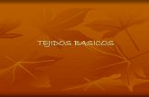 TEJIDOS BASICOS - :: Universidad Autónoma de Zacatecas ::€¦ ·  · 2009-05-26tipos de tejidos. Los tres tipos ... Por ser largas y de trayecto tortuoso son difíciles de estudiar