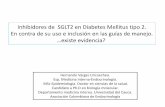 Presentación de PowerPoint - Asociación Colombiana … SGLT2 inh son una estrategia útil y efectiva en DM2, independiente de la reserva insulínica y de la terapia oral utilizada,