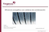 Eficiencia energética con calderas de condensaciónfegeca.com/erp/ponencia-eficiencia-energetica-calderas... · producción de A.C.S., es el complemento ideal para mejorar la eficiencia