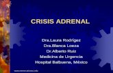 CRISIS ADRENAL - Recursos Educacionales en Español … Adrenal.pdf ·  · 2012-06-27 CRISIS ADRENAL Dra.Laura Rodrígez Dra.Blanca Loeza Dr.Alberto Ruiz Medicina de Urgencia Hospital